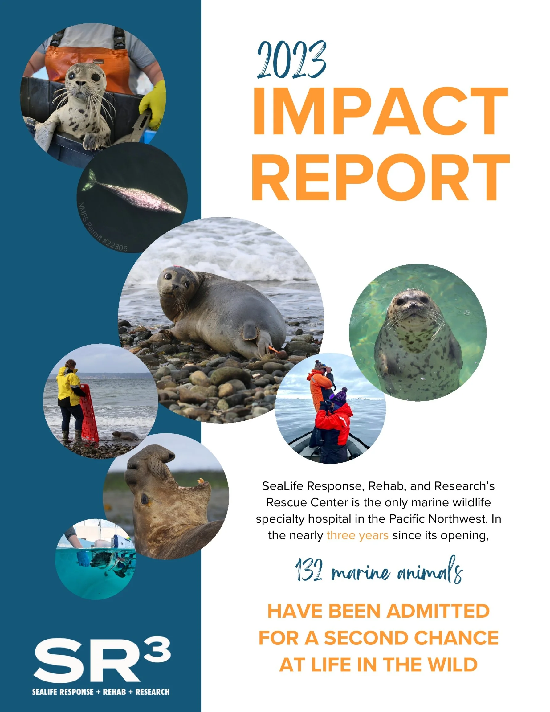 Impact Report 2023 Page 1