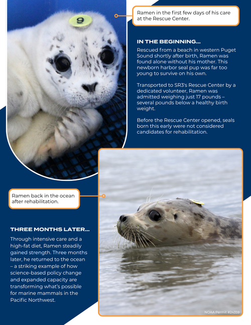 Impact Report 2025 Page 5