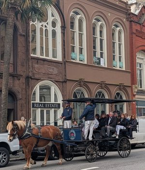 Which Area of Charleston Is Right for Me?