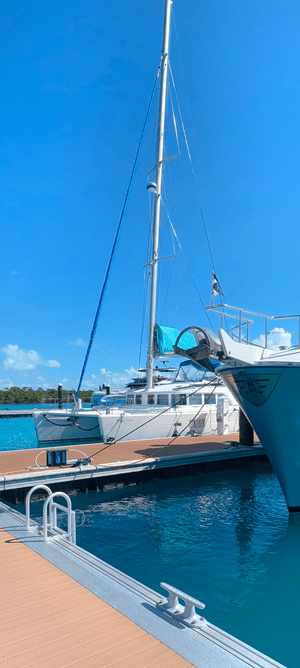 Deepwater Dock Living in Charleston: Where Sailboats and Sportfishers Can Dock Behind Your Home.