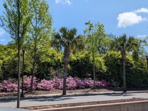 Who Is the Best Realtor in Charleston, SC? The Answer Most People Miss