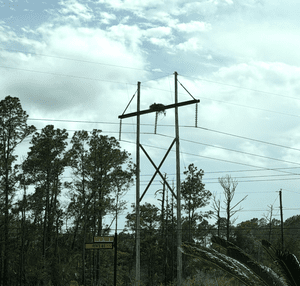 Opinion: Dominion Energy, Developers and the Destruction of the Lowcountry — If I’m Wrong, Show Me
