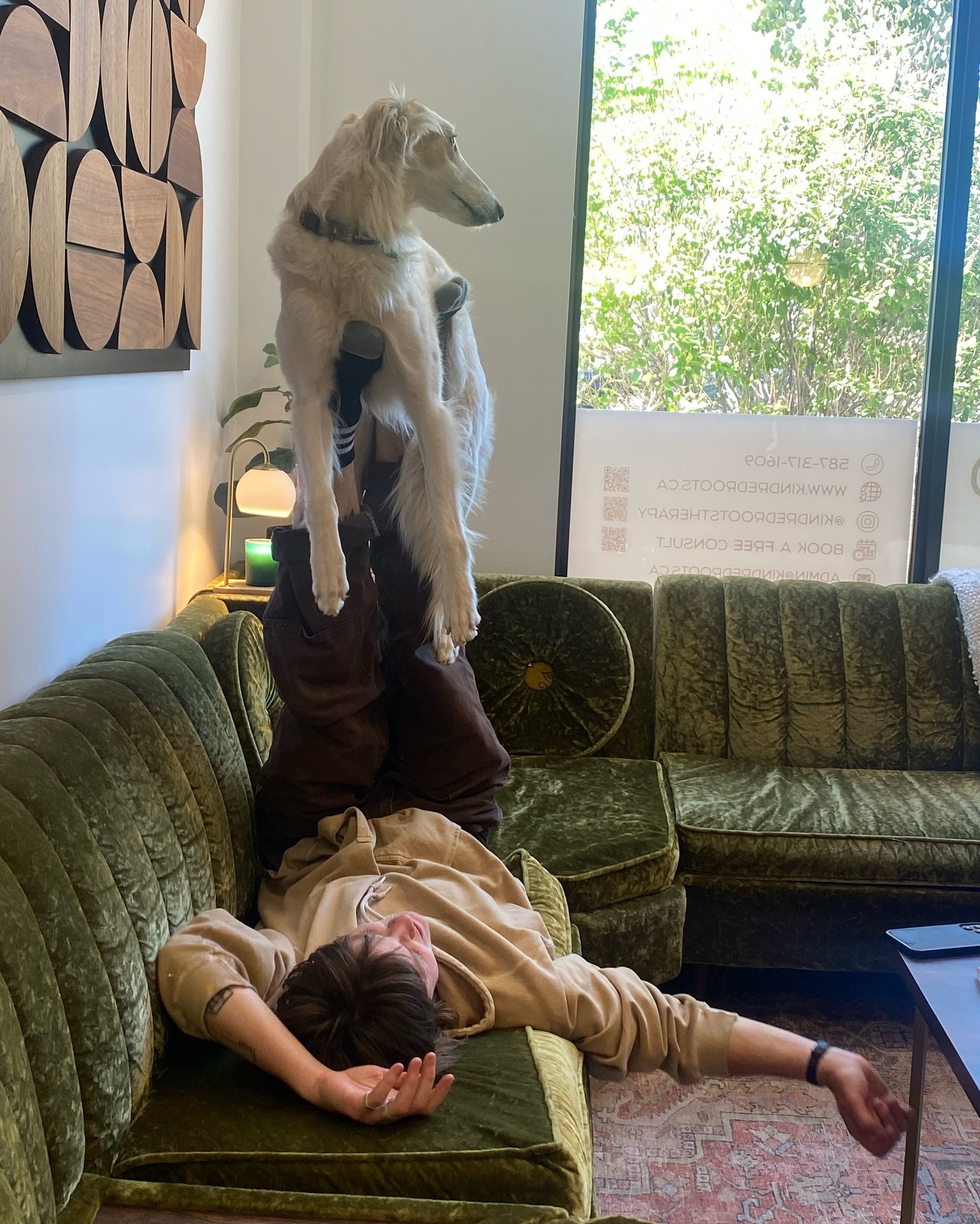 We love how authentically Jed, Jed is 💓🤸🏼🐩⚡️

#okotoks #okotokstherapy #okotoksliving #okotokstherapist #acrobatic #calgary #highriver #diamondvalley