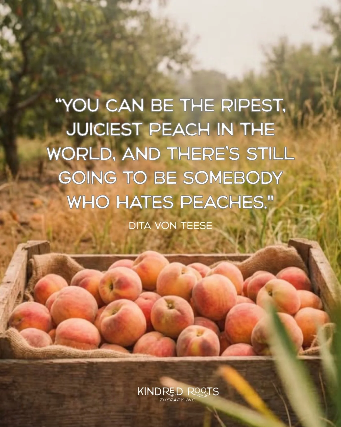 As a recovering people pleaser, this quote is something I come back to often to regroup my thoughts 🍑✨

When we talk about healing our people-pleasing parts, we often discuss prioritizing our own needs, being honest, and moving with intention instea