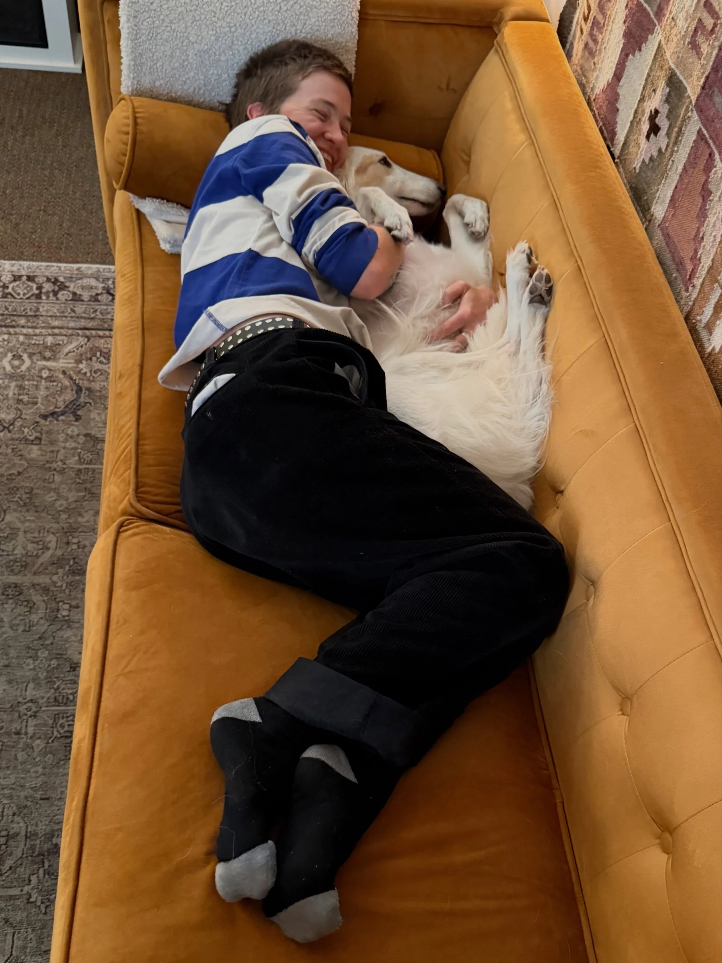 Name a better break activity 🛋️🐶