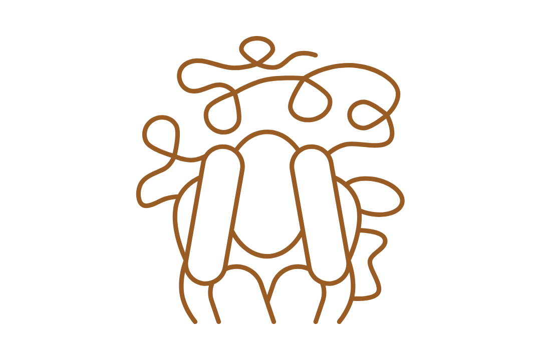 Untitled design (3).png