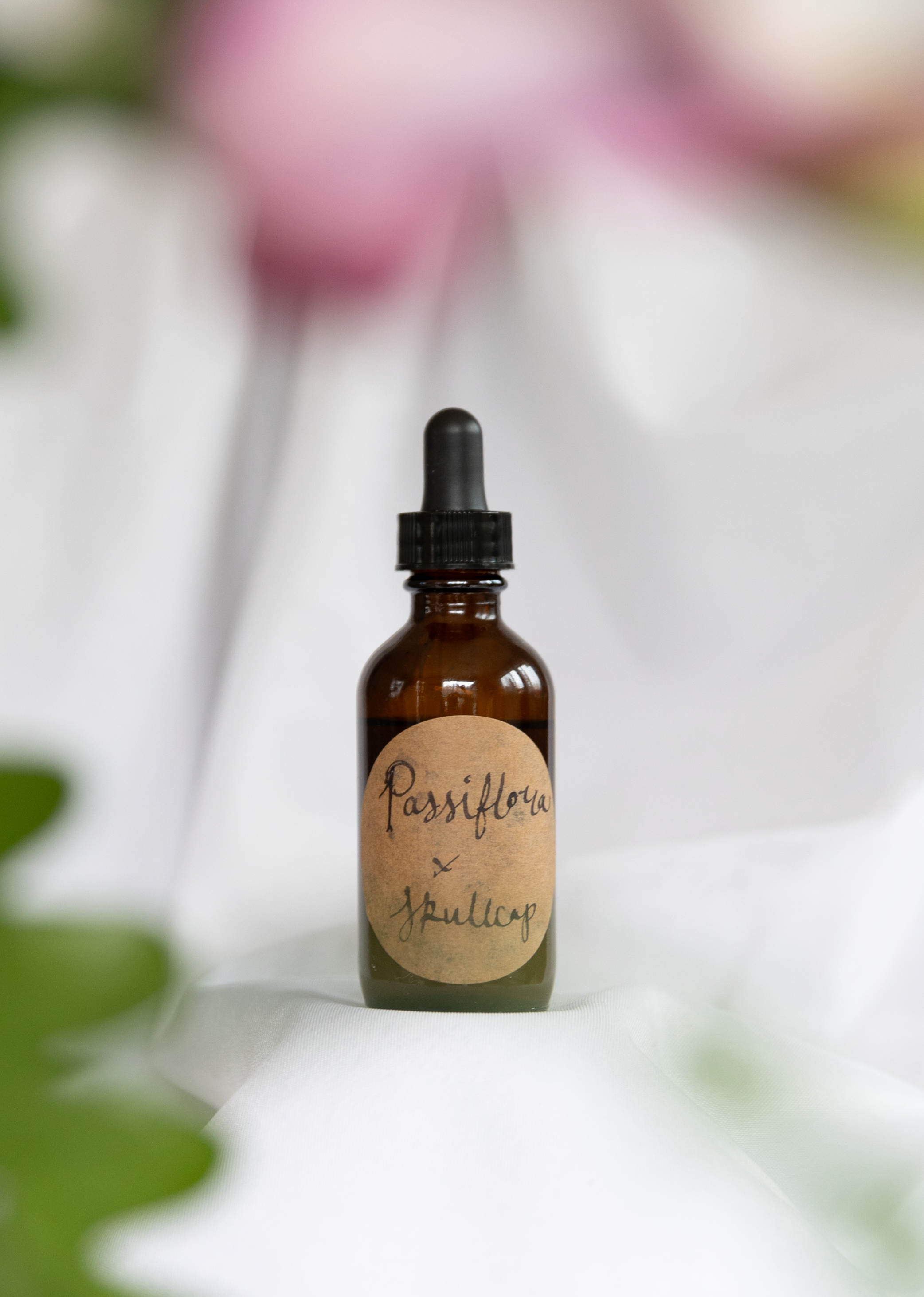 passiflora Skullcap 2.png