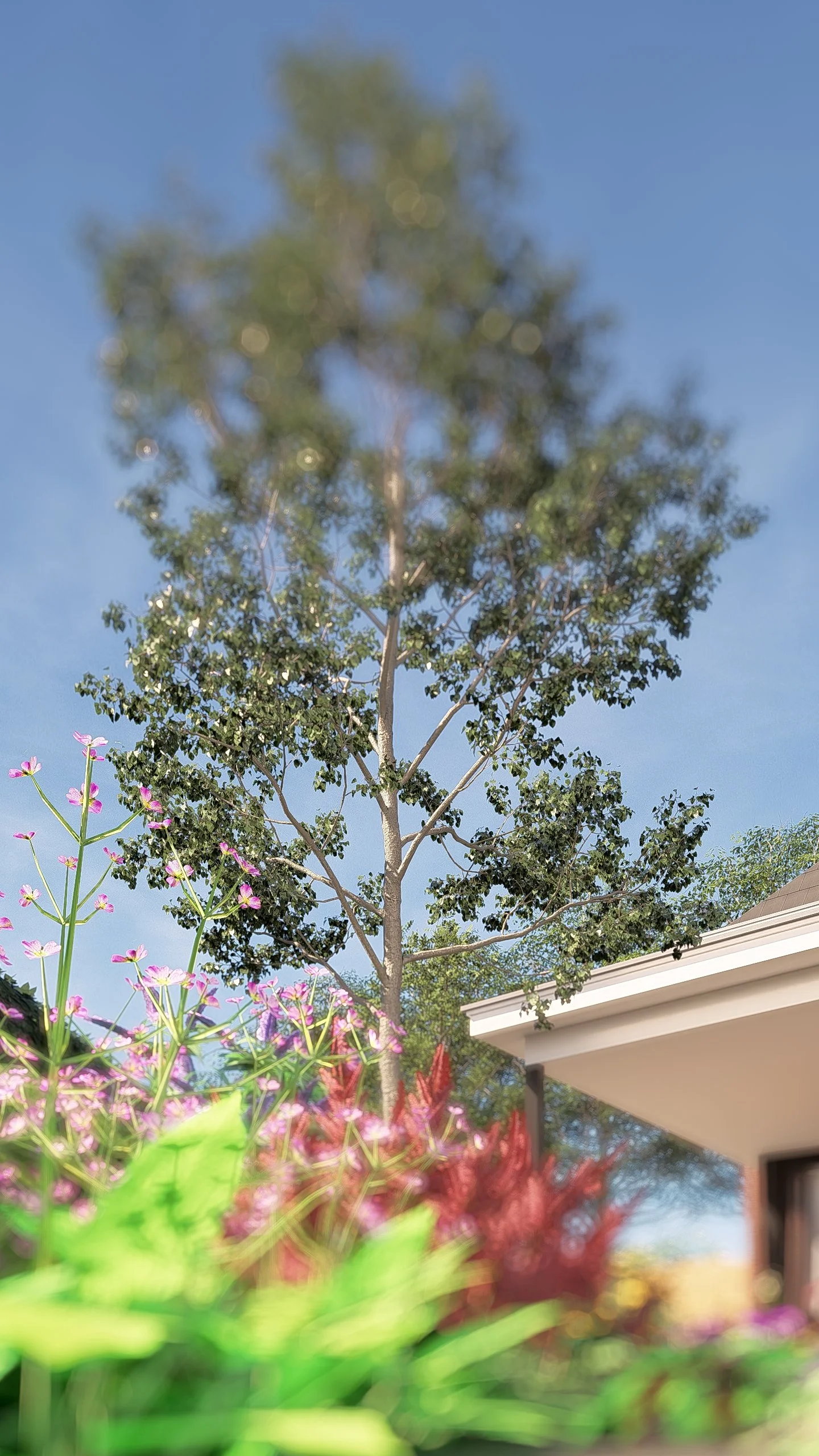 Een grote boom met groene bladeren tegen een heldere blauwe hemel, met kleurrijke bloemen en een deel van een huis op de achtergrond.