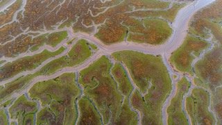 DJI_20240224073846_0097_D-Enhanced-NR Small.jpeg