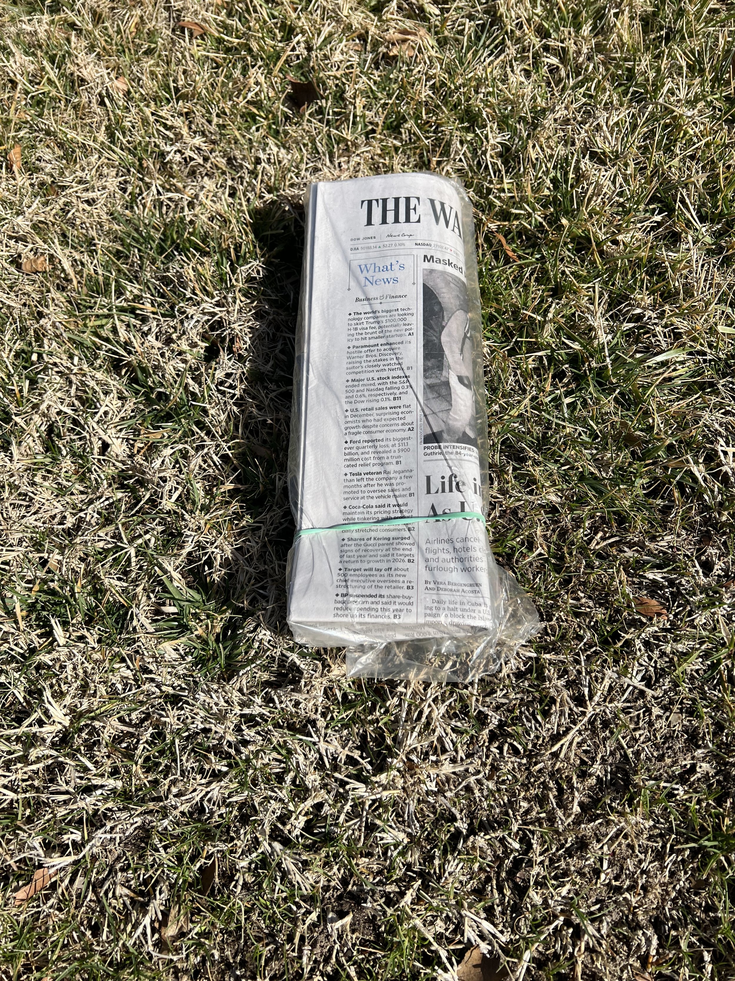 Meet a True Professional: My Newspaper Carrier