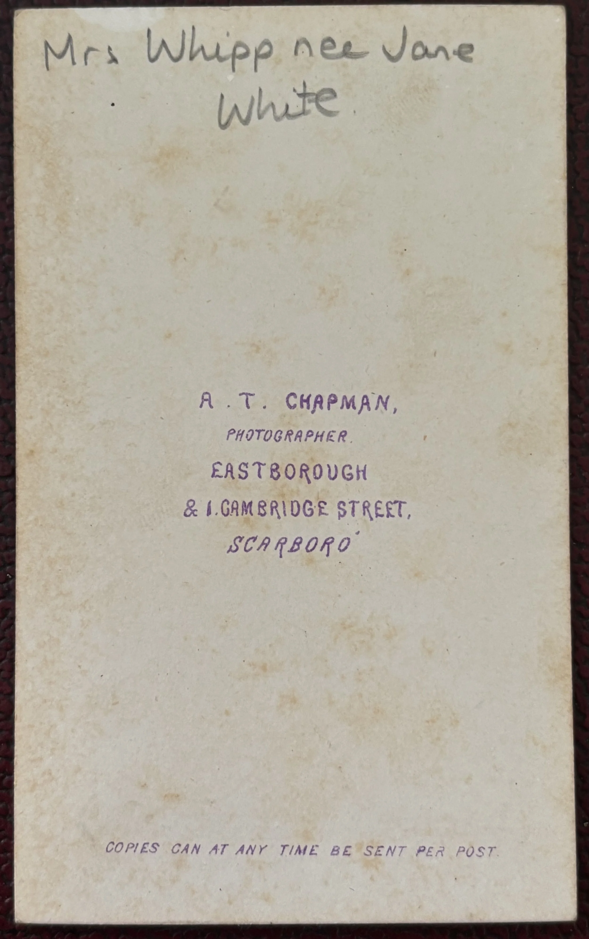 Back of carte de visite portrait by Alfred Thornton Chapman, Scarborough photographer