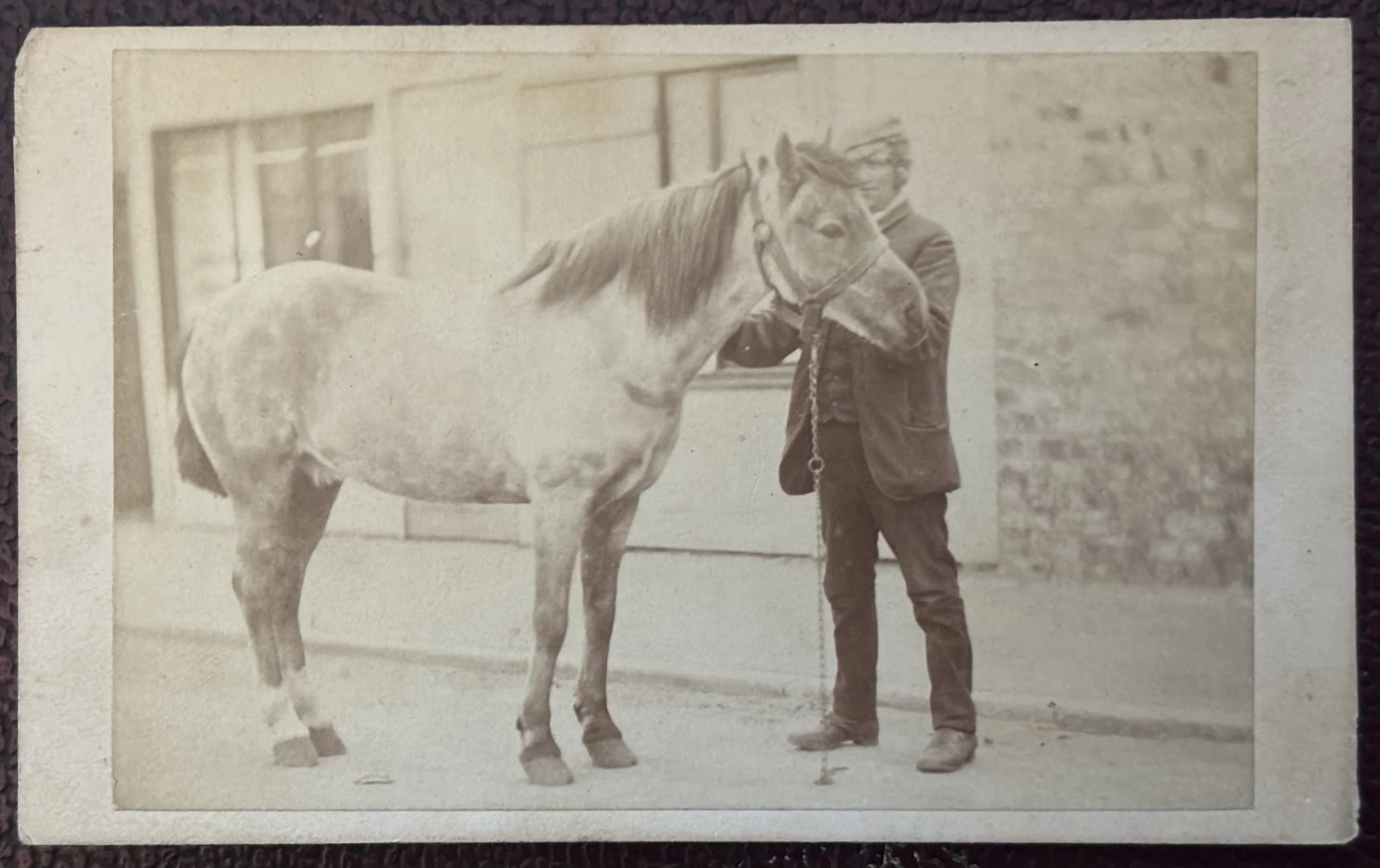 Portrait of a horse with a groom, by John Miers of Scarborough