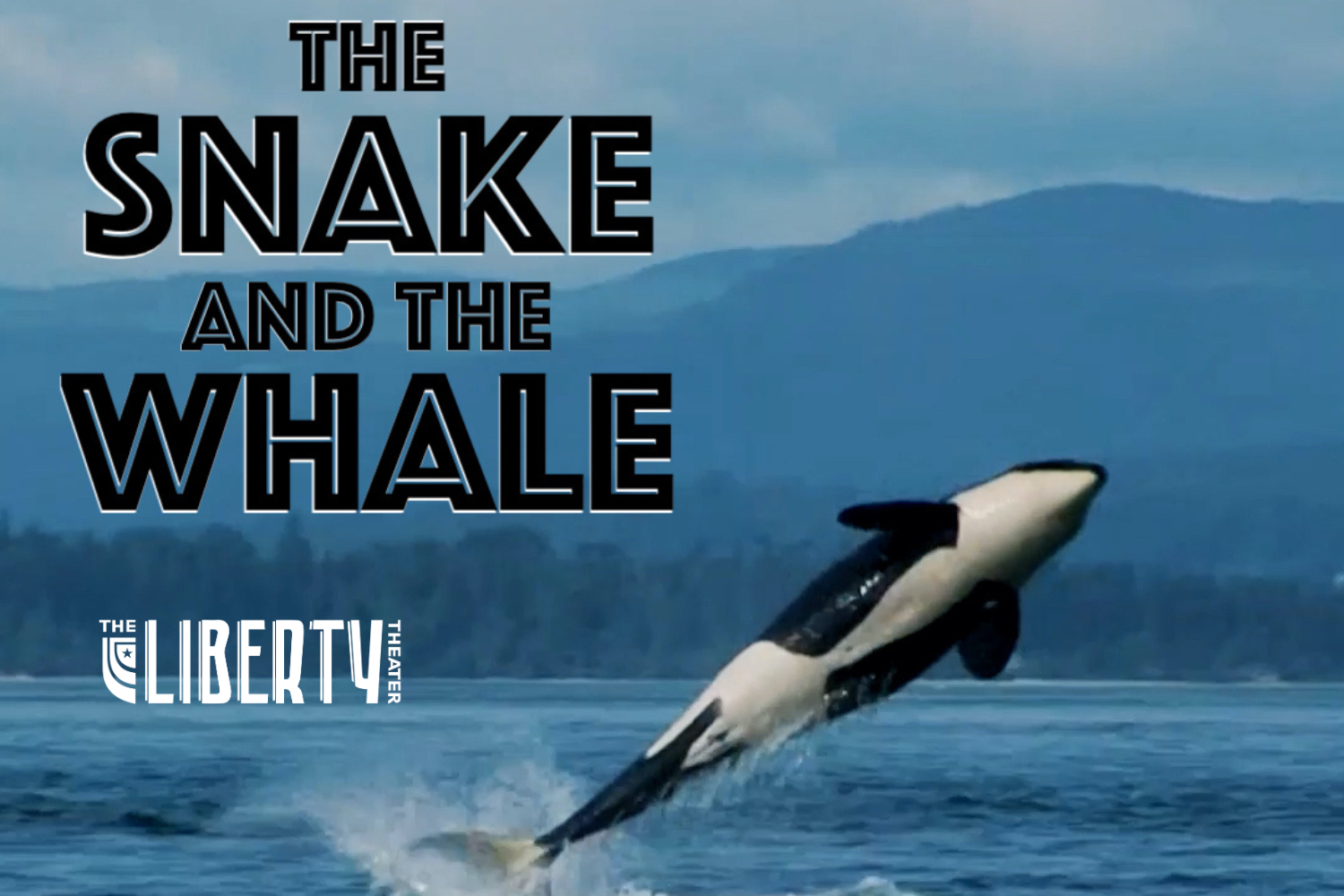 The Snake and the Whale