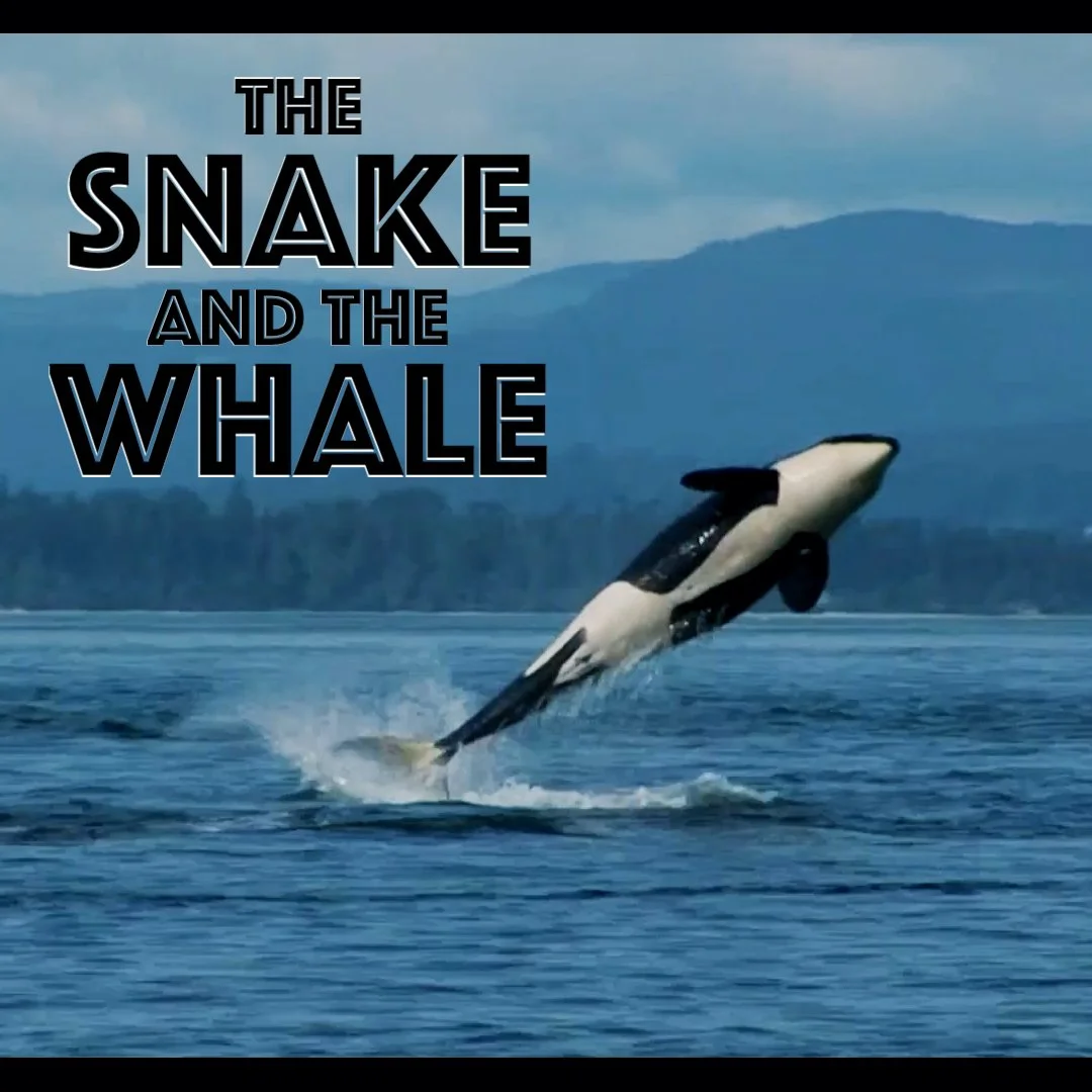 The Snake and the Whale