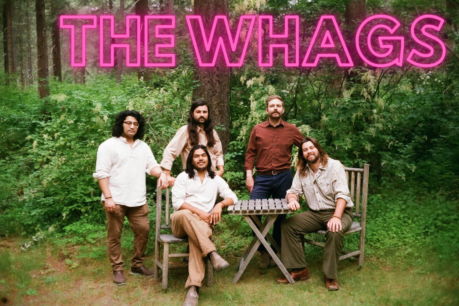 Hailey Rocks Late Night: The Whags