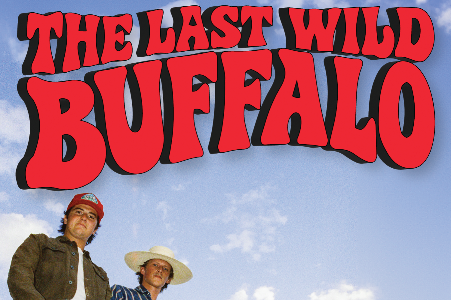 The last Wild Buffalo