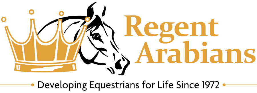 Regent Arabians