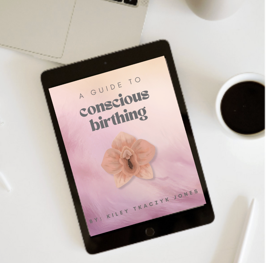 Your  Conscious Birth Book (PDF Download)