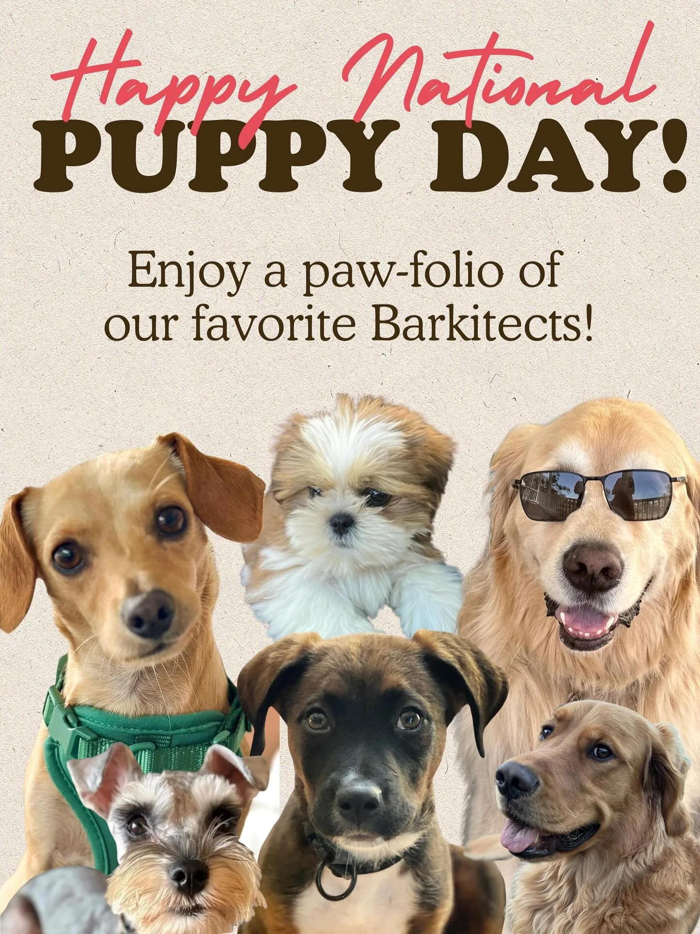 In honor of National Puppy Day, we asked our studios to share their favorite pup pictures! From playful pals to loyal sidekicks, these pups are truly top of the pack. Swipe to meet the pups who keep us company and steal our snacks! 

Happy National P