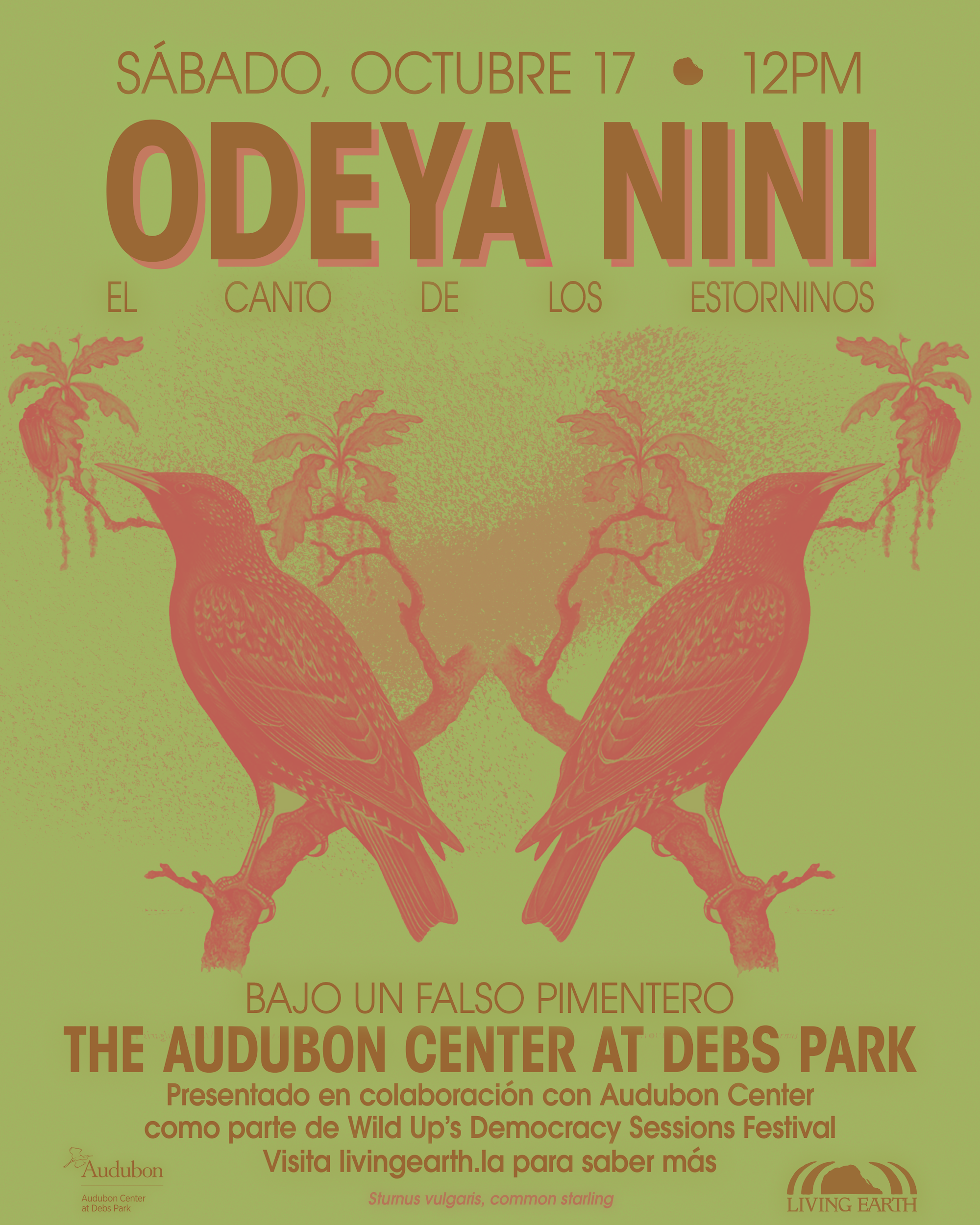 10.17.26 - Odeya Nini (Audubon Center) - Spanish Copy.png