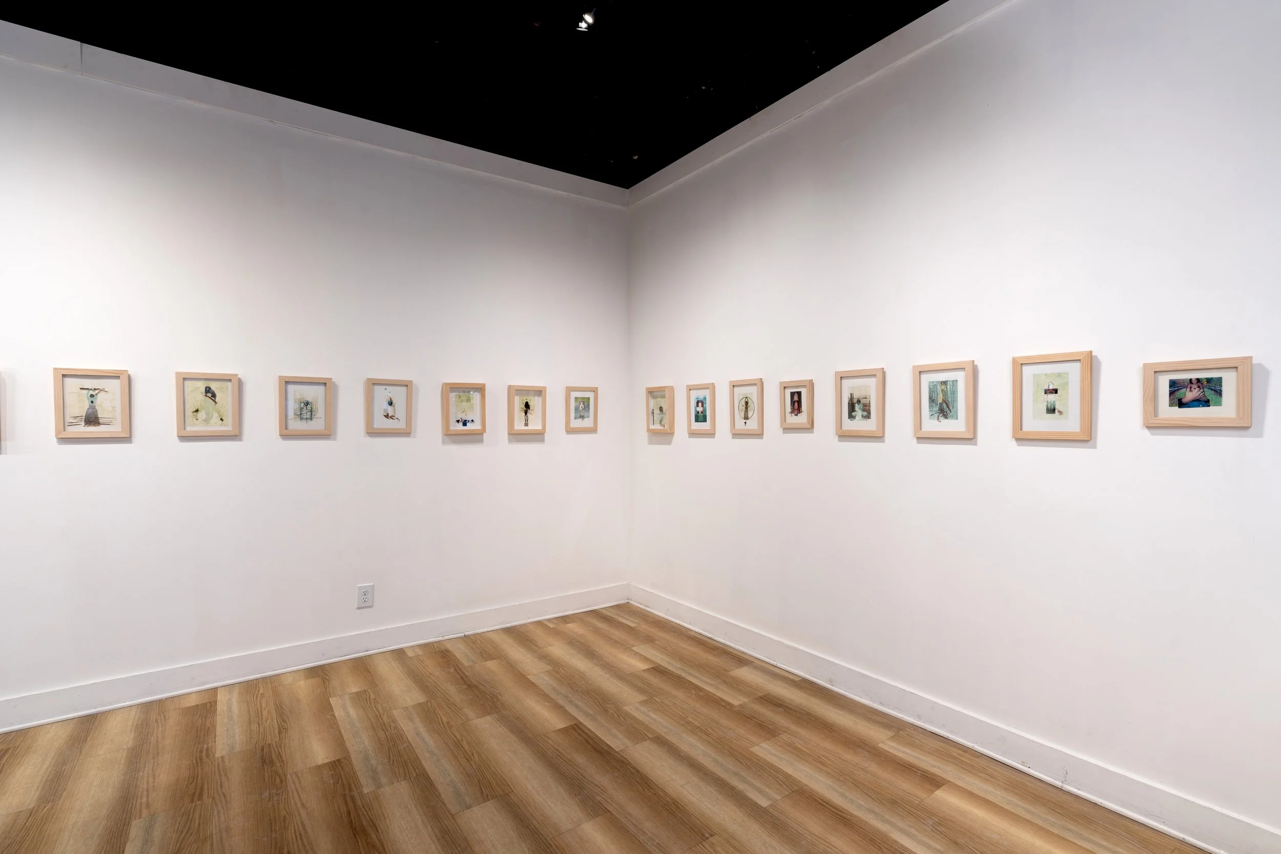CindySuffoletto-installation-108.jpg