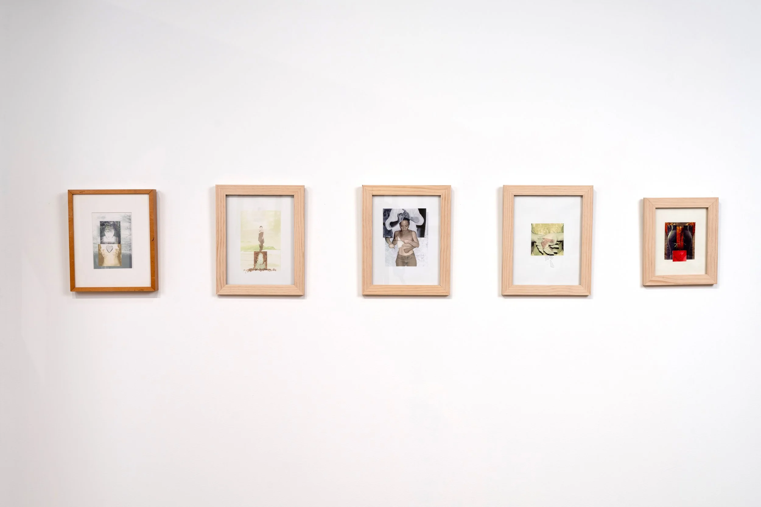 CindySuffoletto-installation-103.jpg