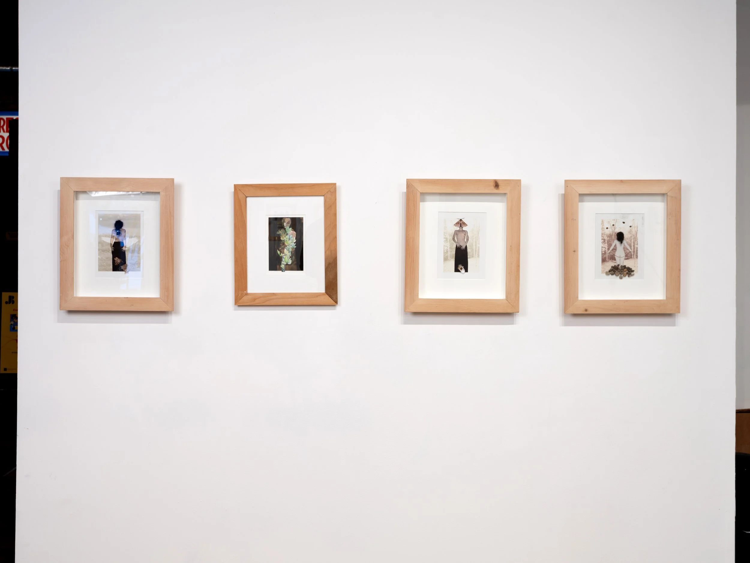 CindySuffoletto-installation-104.jpg
