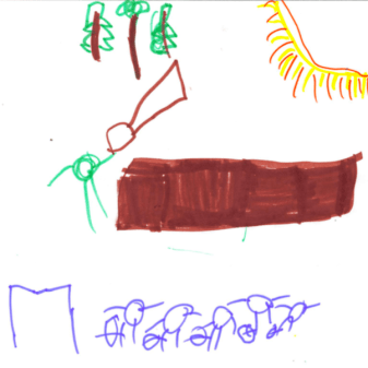timbers5.png