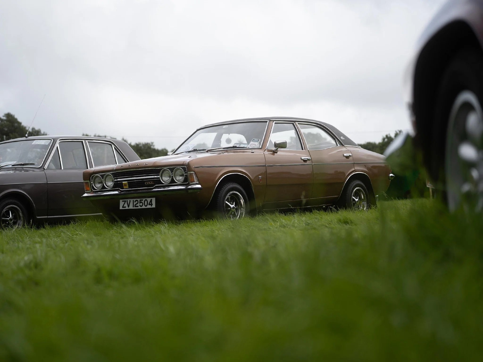 1476f59a-4922-4884-ac85-a76fc6d30ab8.jfif