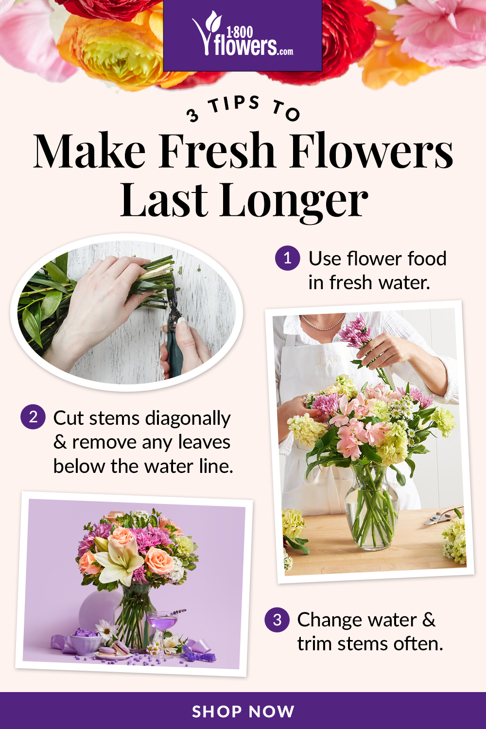 18F_Everyday Flower Tips_Pinterest.png