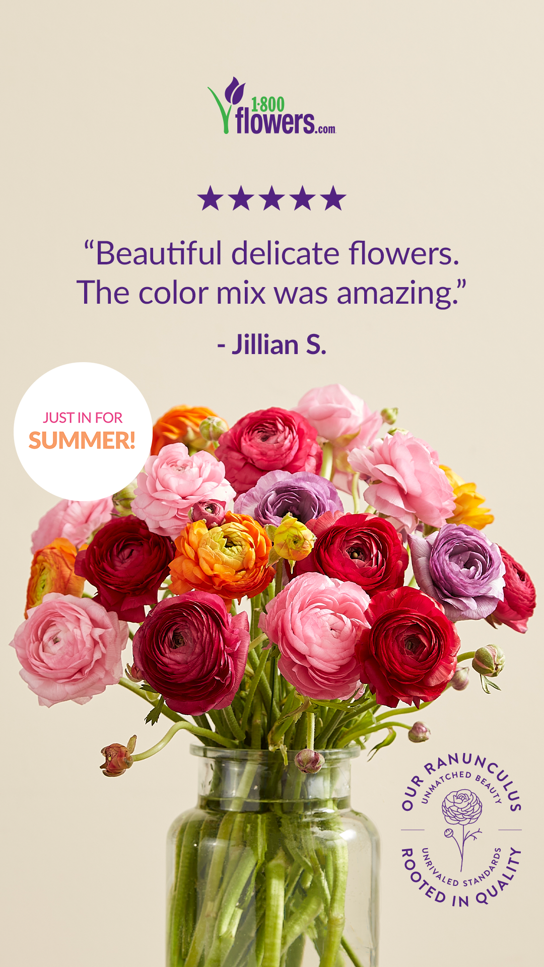 18F_Ranunculus_summer_9x16.png