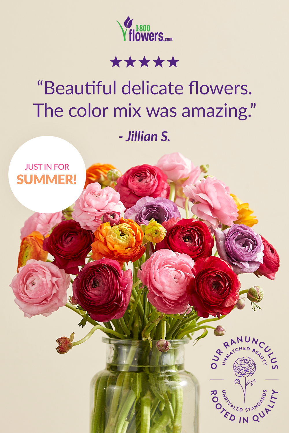 1800Flowers-Ranunculus-01-1000x1500_summer.png