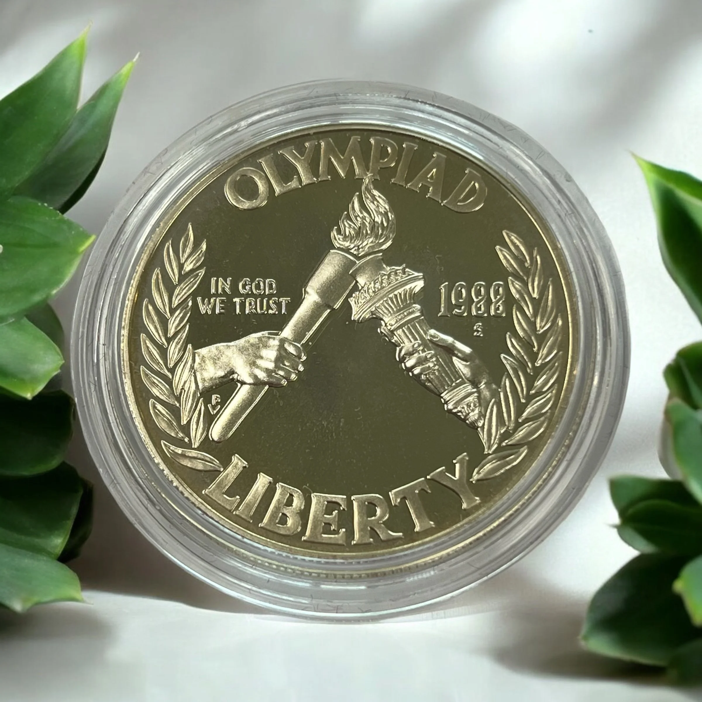 Celebrate Team USA at the 2026 Winter Olympics! 