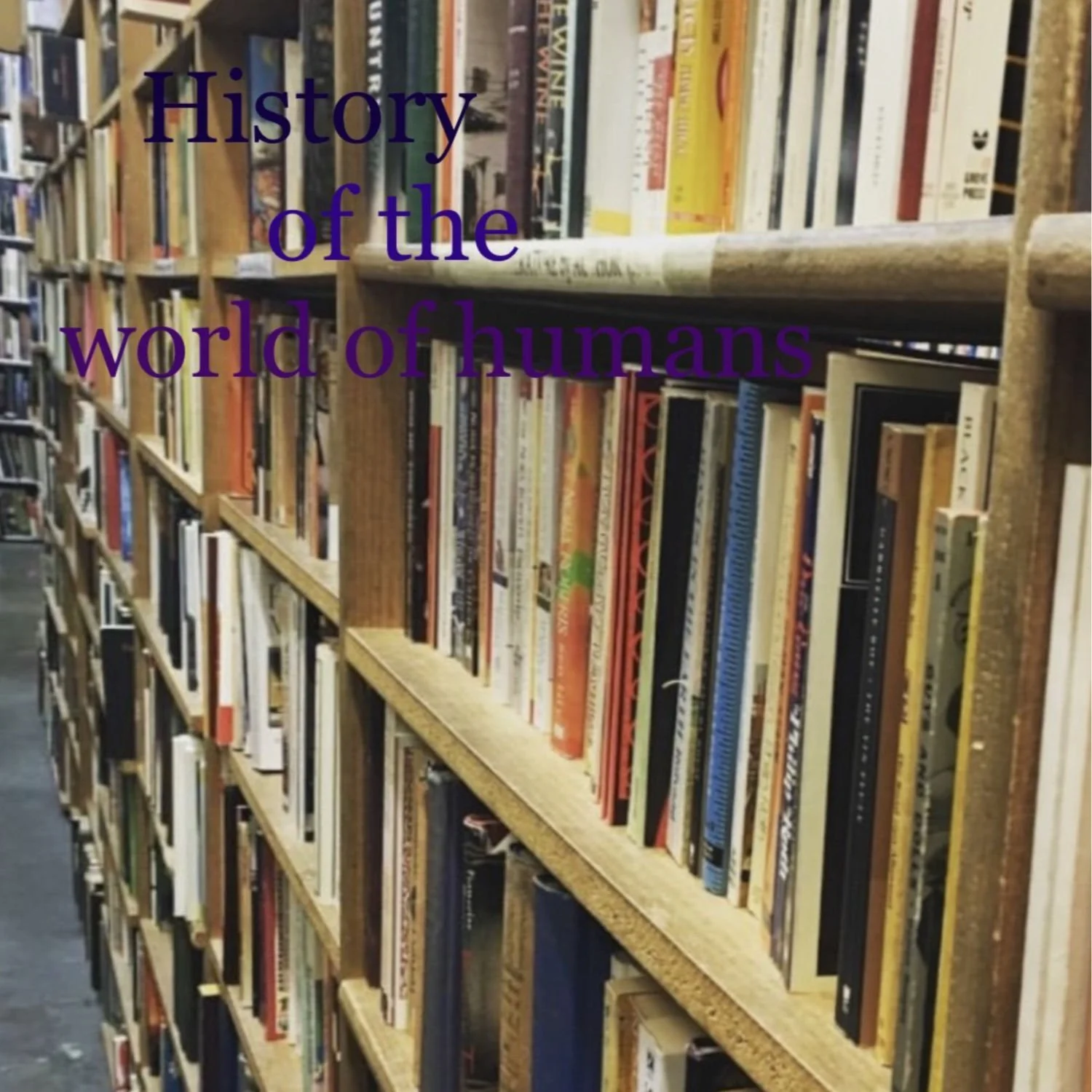 Bookshelves with "The History of the World of Humans" superimposed.