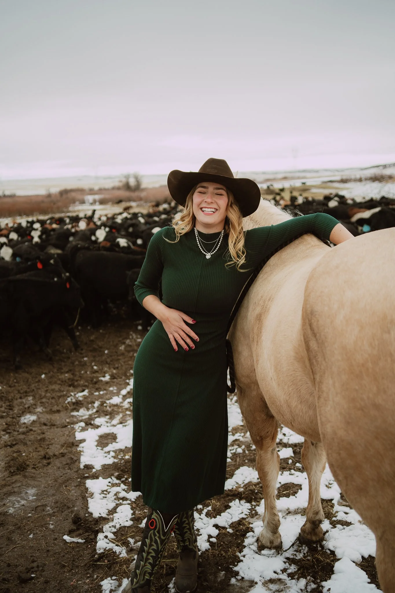 cow-13.jpg