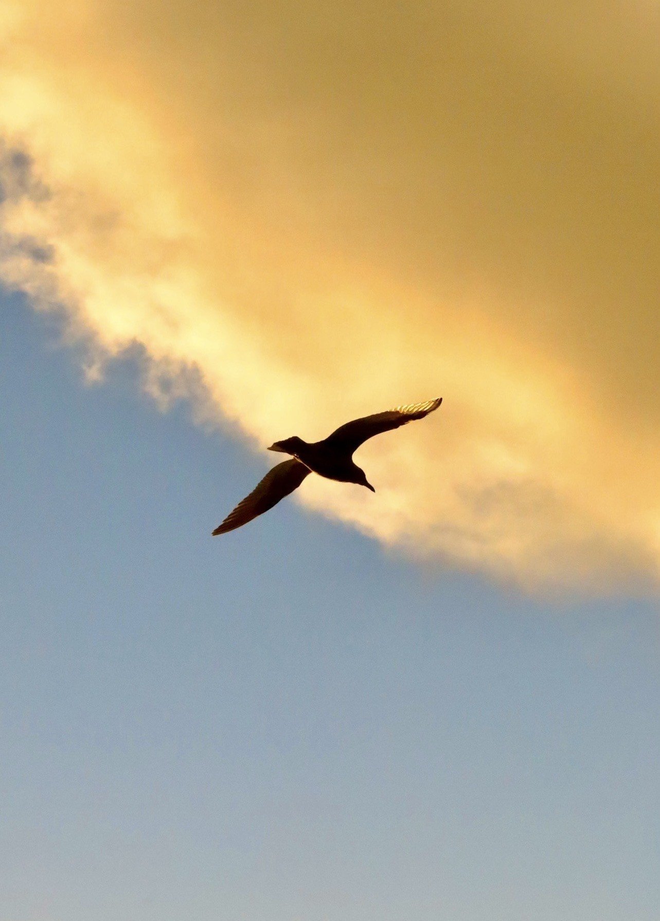 Home - A Juried Teen Show