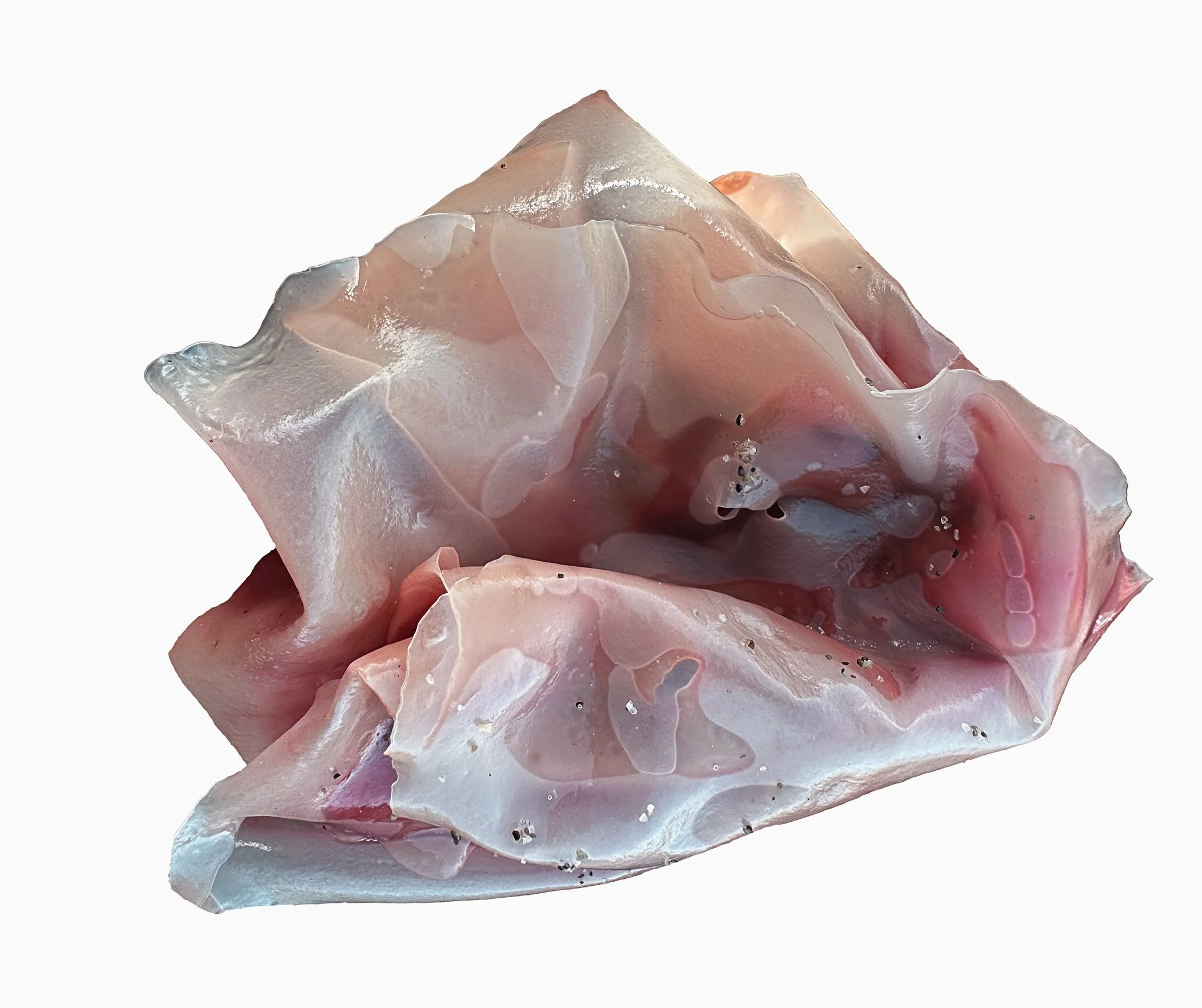 Eva Sköld Westerlind 