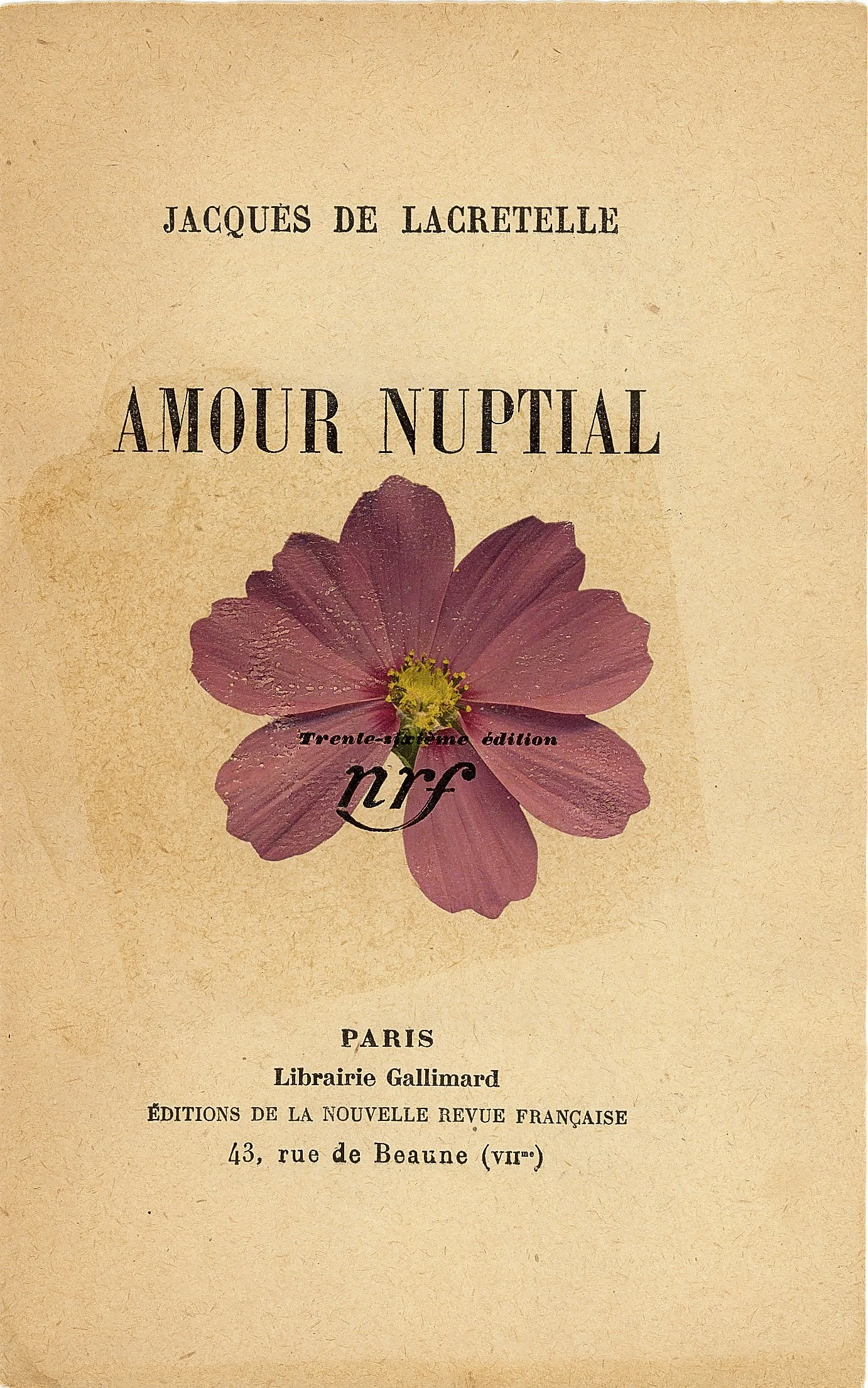 Book cover2.jpg