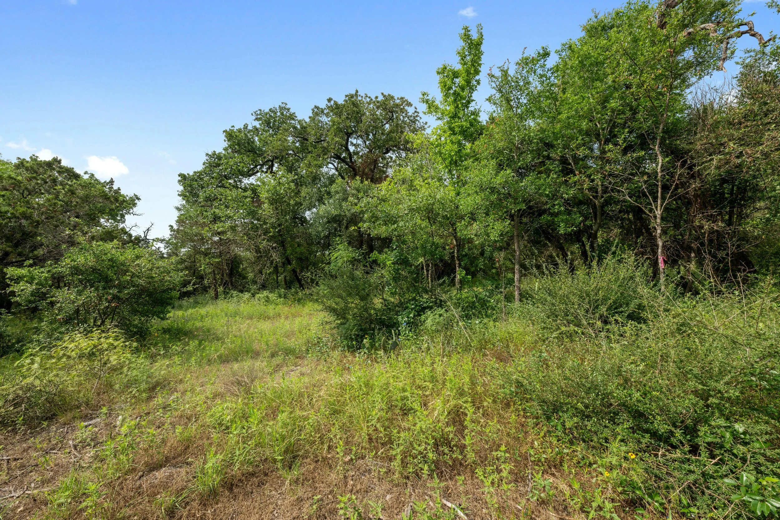 026-464228-5916 Harold Ct_13353256.jpg