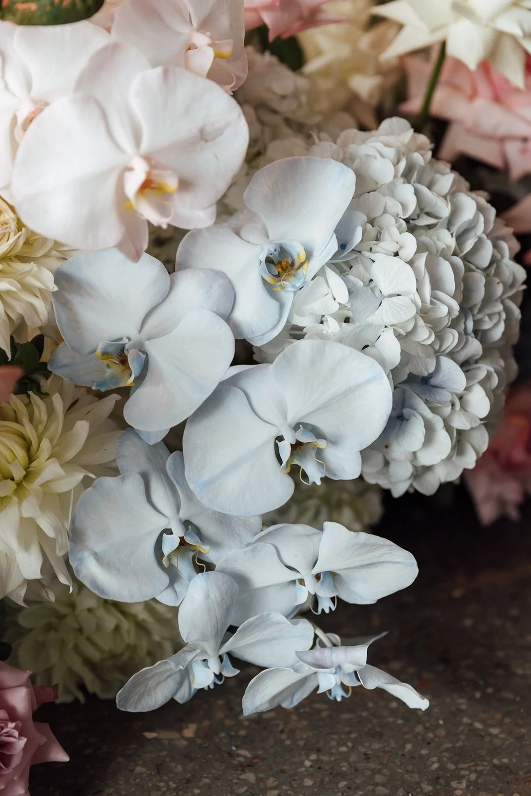 St_George_Sailing_Club_San_Souci_Wedding-SonjaCenicPhoto73.jpg