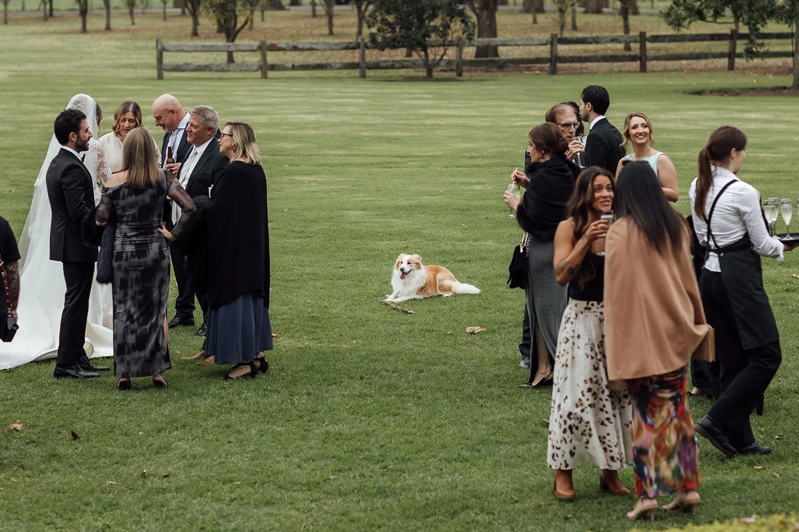 Olivia-Biagio-Terrara-House-Wedding-100.jpg