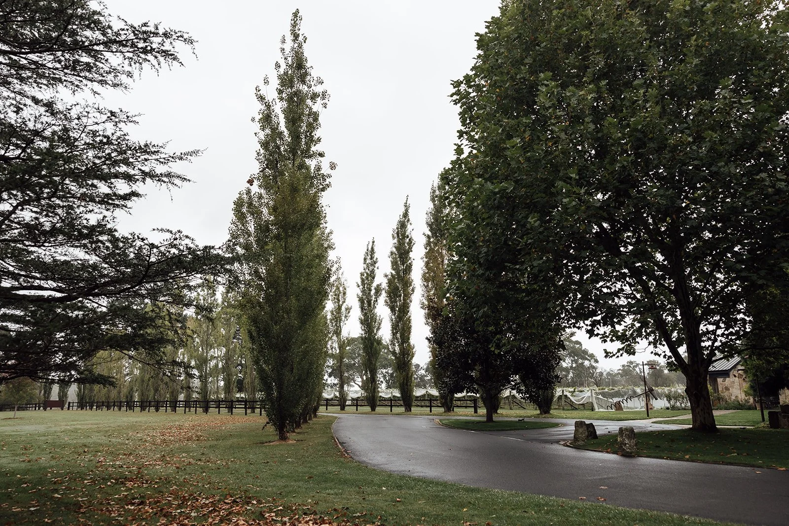 Bendooley-estate-rainy-autumn-wedding-photos-0171.jpg