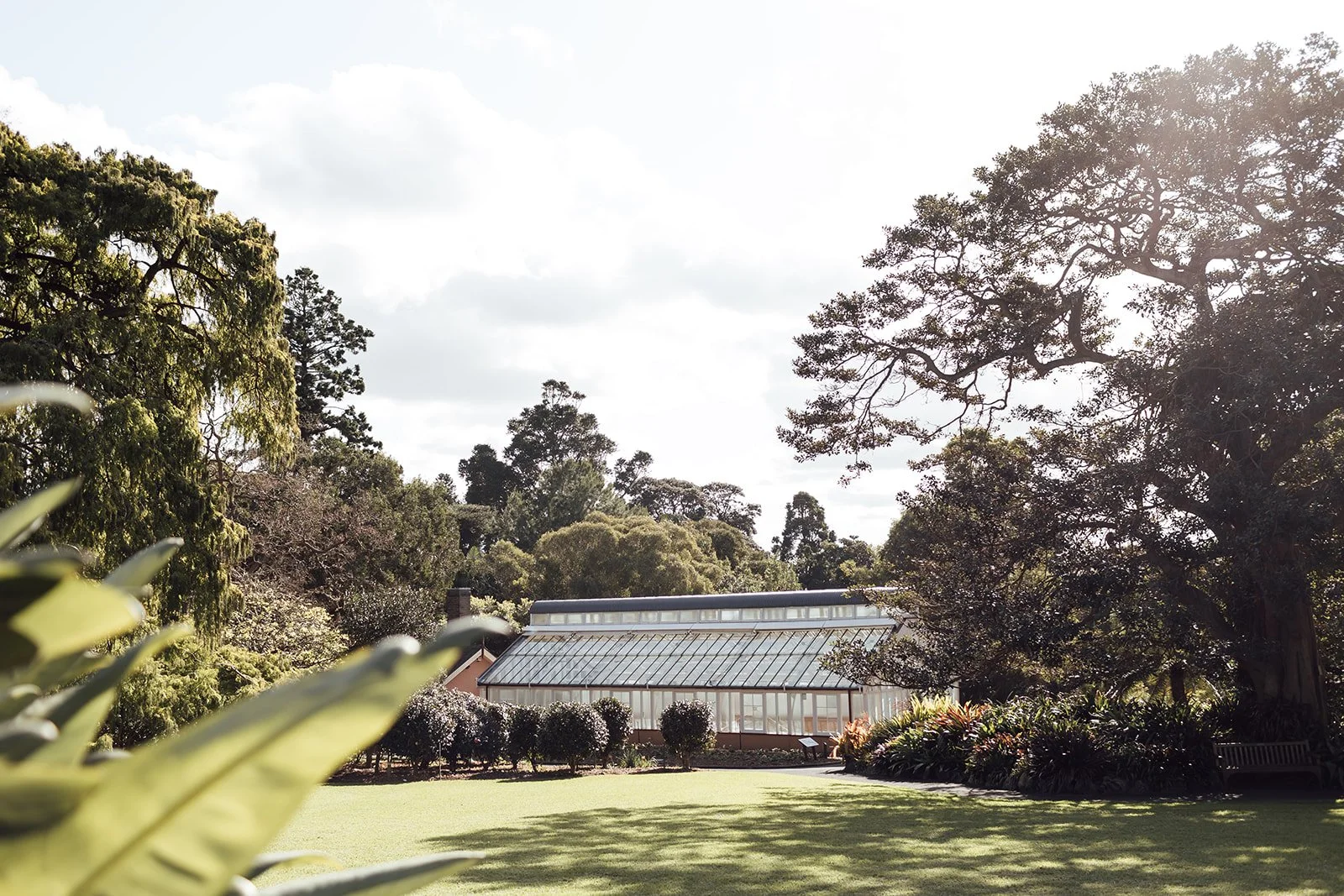 Royal-botanic-garden-sydney-wedding-ceremony-Palm-House-0001.jpg
