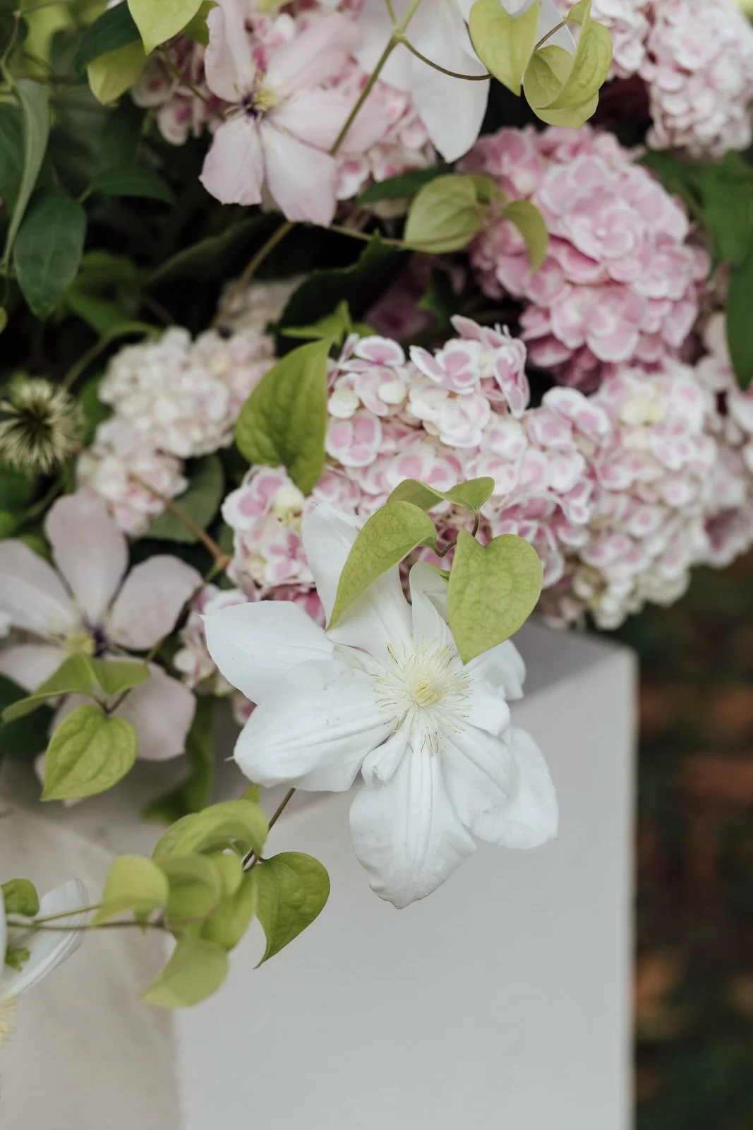 Doctor Cooper florist