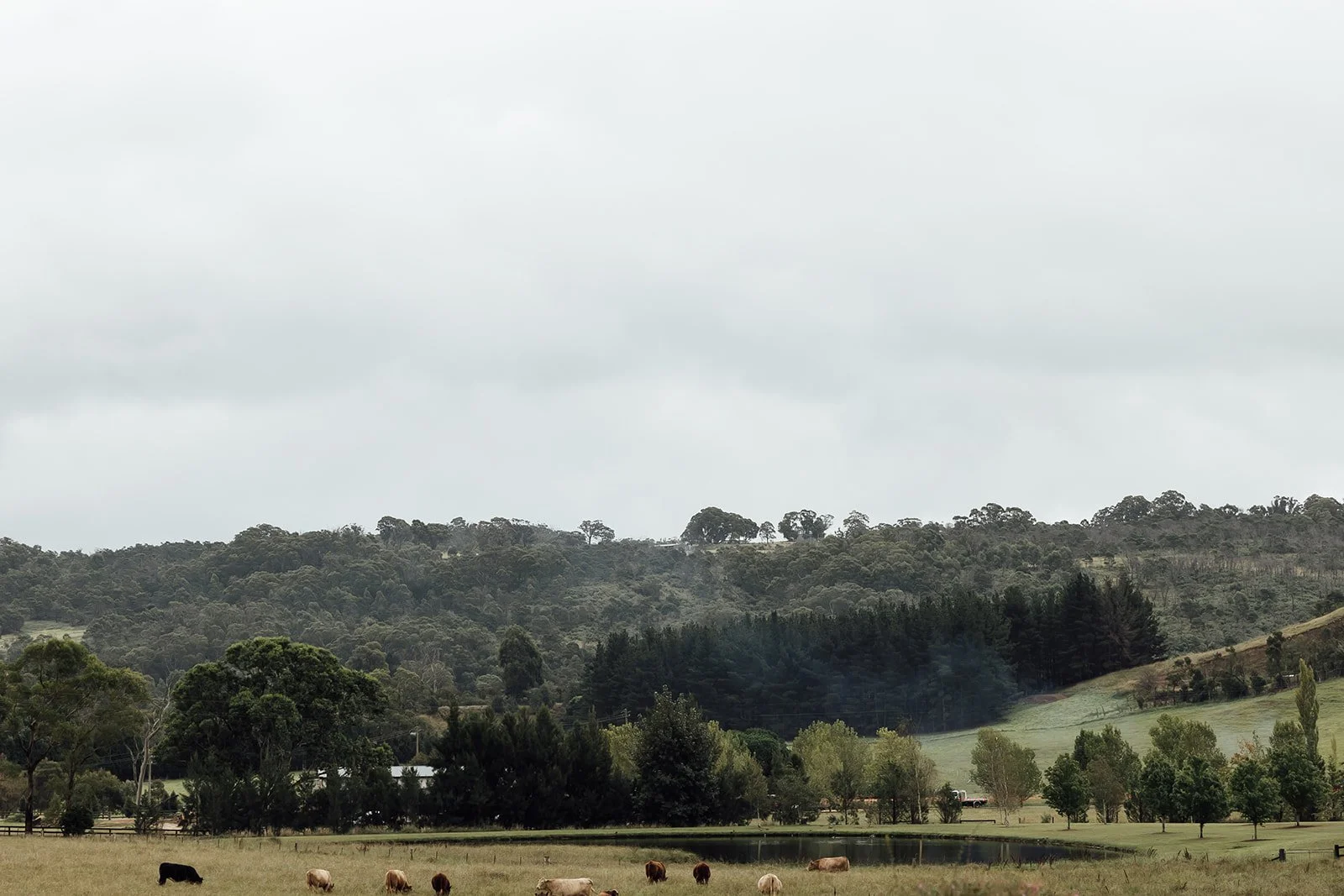 Bendooley-estate-rainy-autumn-wedding-photos-0169.jpg
