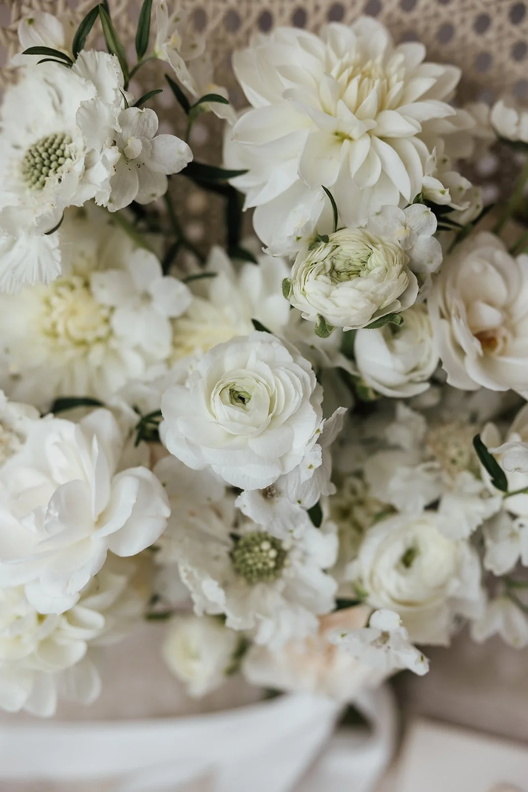 Olivia-Biagio-Terrara-House-Wedding-019.jpg