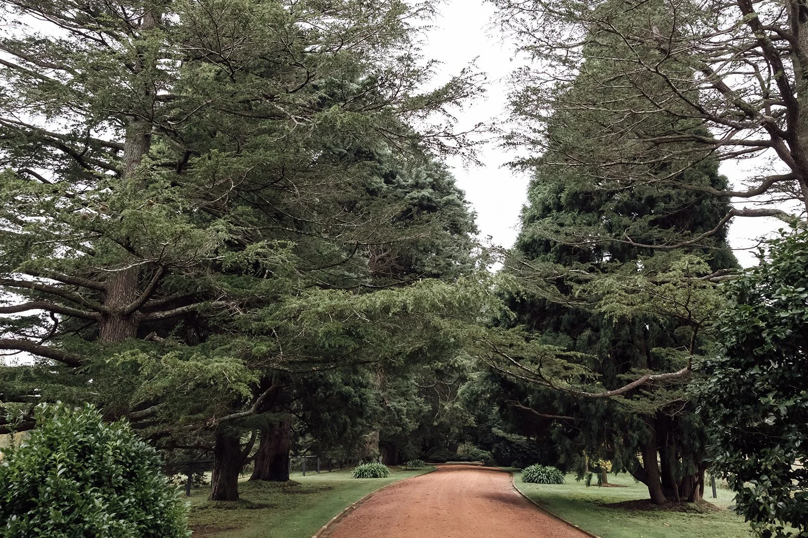 Bendooley-estate-rainy-autumn-wedding-photos-0172.jpg