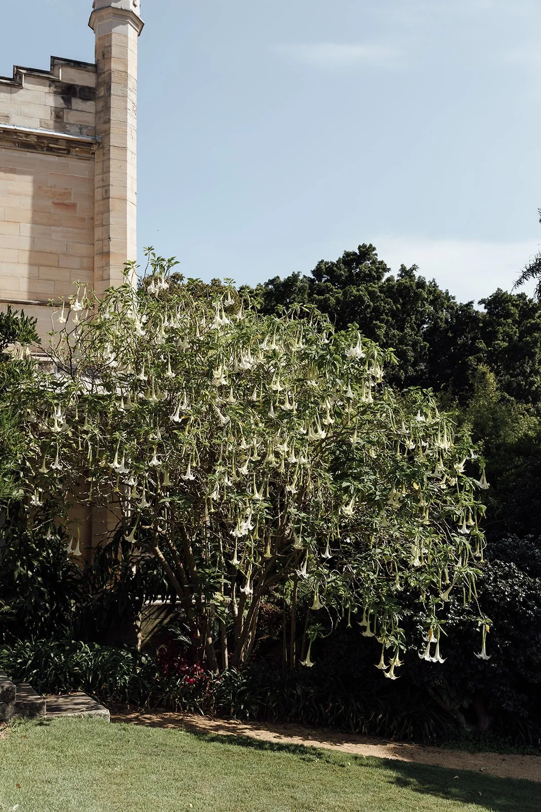 Sonja_Cenic_Wedding_Photography_Vaucluse_House_Sydney-0052.jpg