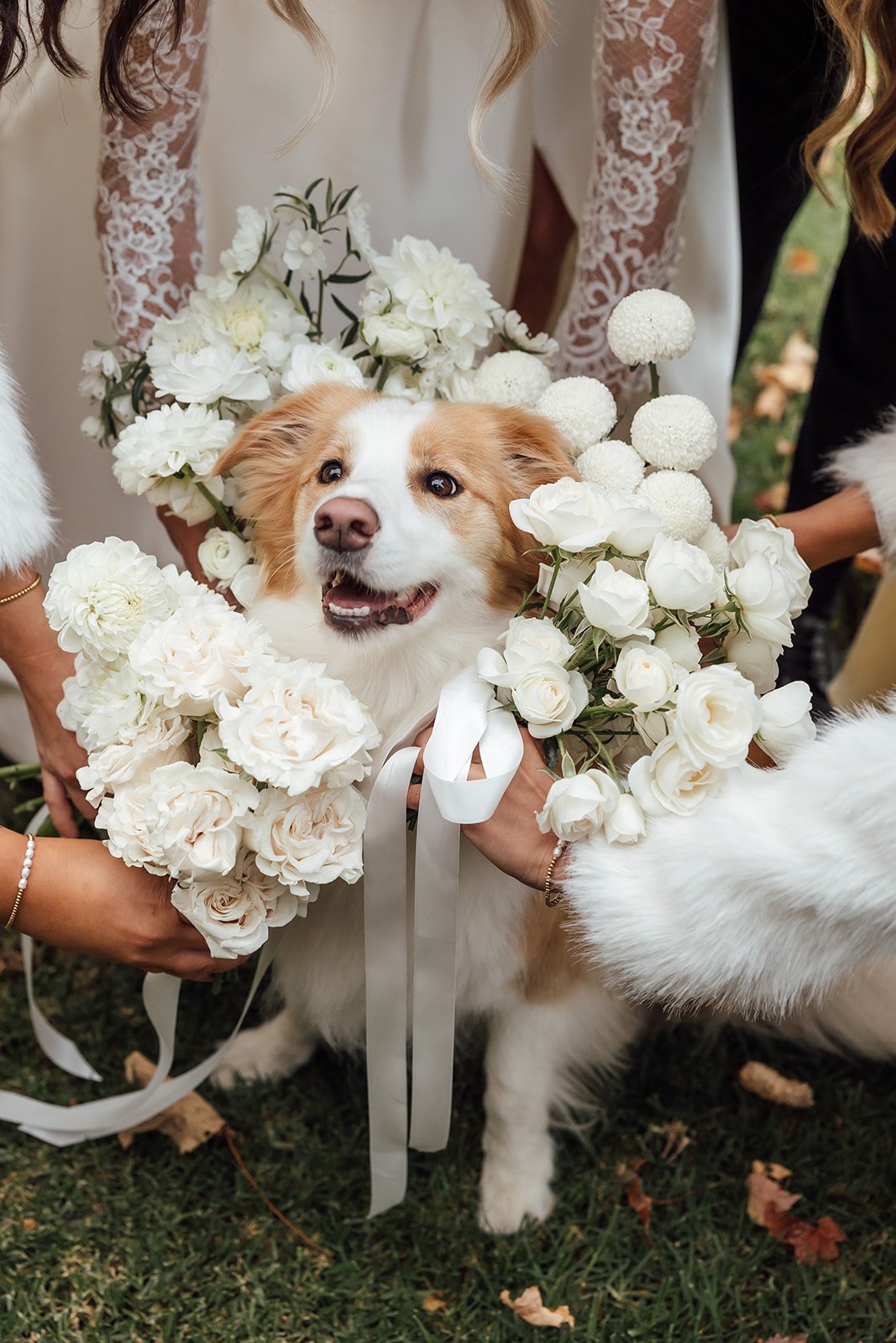 Olivia-Biagio-Terrara-House-Wedding-133.jpg