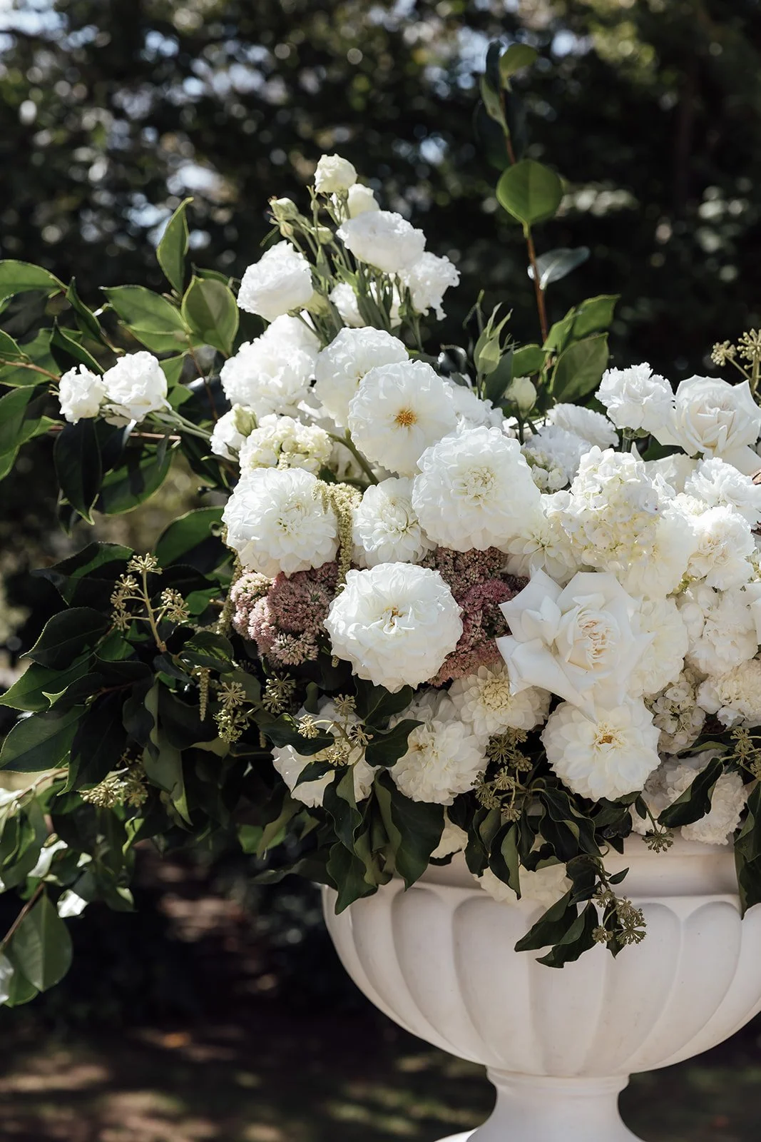Somerley-House-Southern-Highlands-Wedding-Ceremony-Photographer-1.jpg